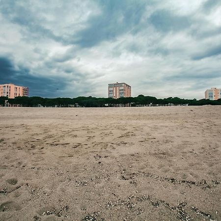 Studio Les Pieds Dans L'Eau Argeles Sur Mer Esterno foto