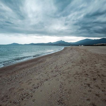 Studio Les Pieds Dans L'Eau Argeles Sur Mer Esterno foto