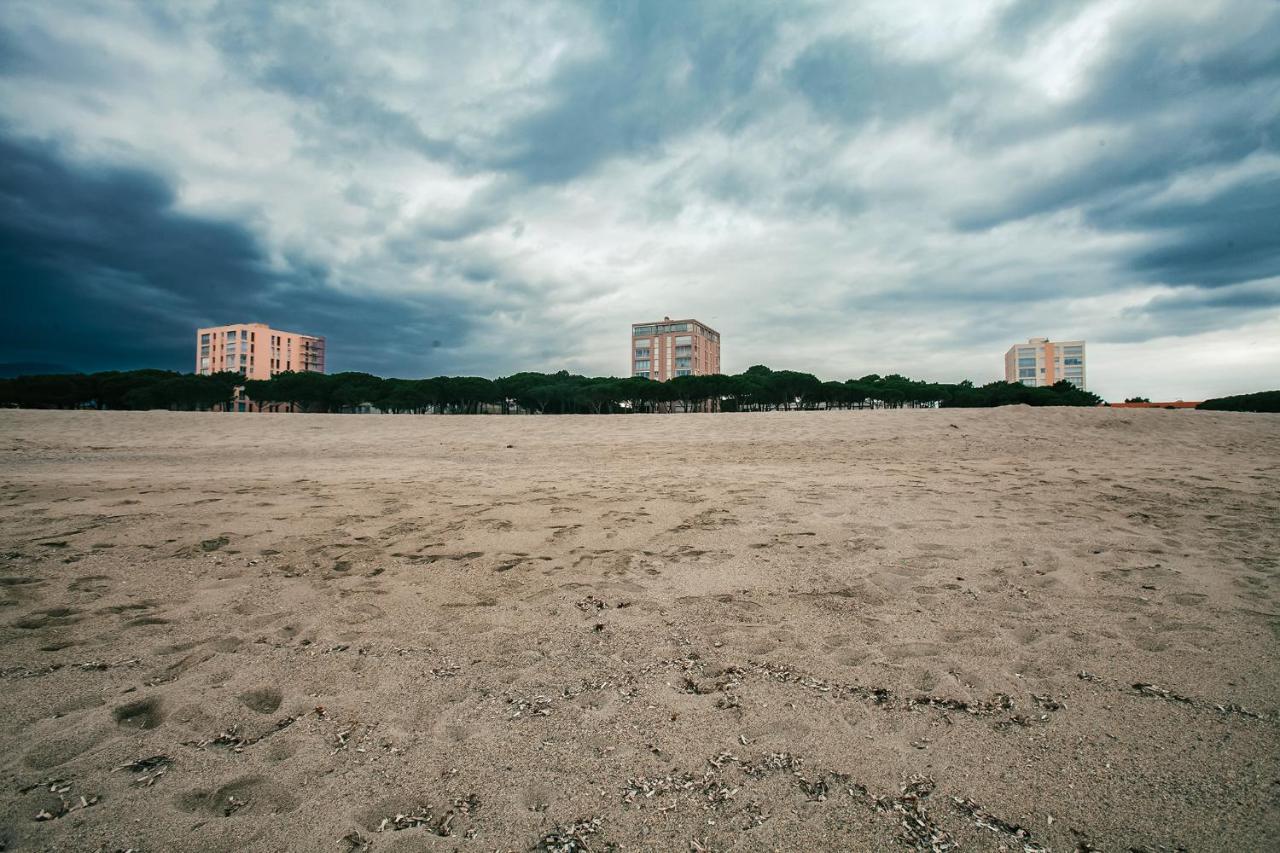 Studio Les Pieds Dans L'Eau Argeles Sur Mer Esterno foto