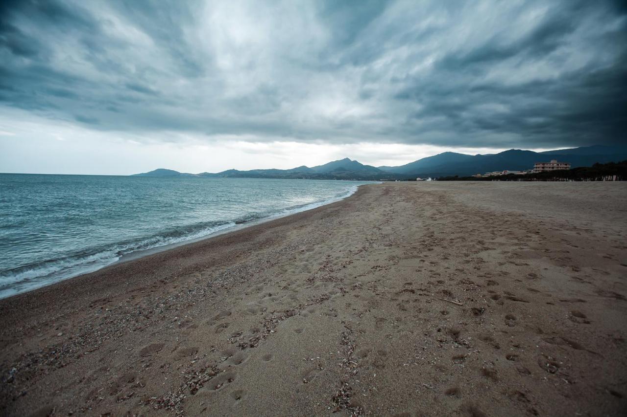 Studio Les Pieds Dans L'Eau Argeles Sur Mer Esterno foto